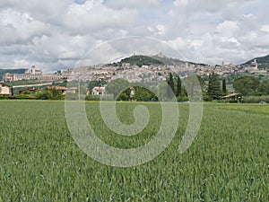 Panorama of Assisi
