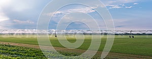 Panorama of the automated farming irrigation sprinklers system on cultivated agricultural landscape field