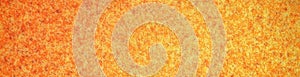 Panorama background with abstract orange dotted fine texture