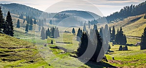 Panorama of Balileasa valley of Apuseni mountains