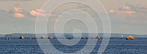 Panorama of Baltic sea shelf with boulders and stones. Clouds, yacht and birds in evening light. Clean nordic nature in gulf