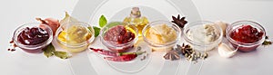 Panorama banner of assorted sauces and marinades