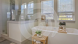 Panorama Bathtub and shower stall in front of windows with valance and blinds