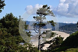 Panorama Beach at the Coast of the Pacific Ocean, Oregon