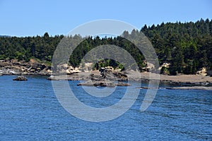 Panorama Beach at the Coast of the Pacific Ocean, Oregon