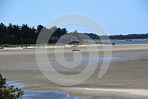 Panorama Beach at the Coast of the Pacific Ocean, Oregon