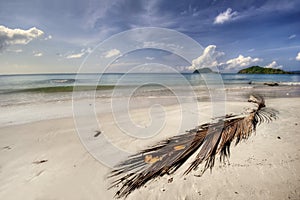 Panorama of beach of Koh Mak