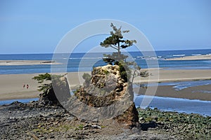 Panorama Beach at the Pacific, Oregon