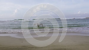 Panorama of the beach of the tropical resort, Bali, Indonesia.