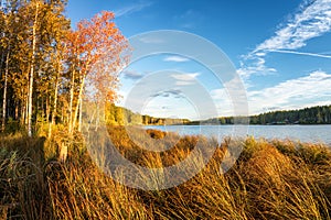 Panorama of beautiful autumn landscape with lake and forest on the Bank of Russia, the Urals