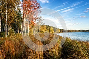 Panorama of beautiful autumn landscape with lake and forest on the Bank of Russia, the Urals