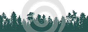 Panorama of beautiful forest, silhouette of fir trees and pines. Vector illustration