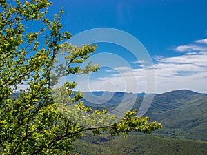 panorama of a beautiful mountainous area. sunny in the afternoon. beautiful spring landscape in the mountains.