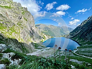 Panorama of beautiful Polish mountains. sunny weather. grassy hill with beautiful flowers and lakes below in Poland