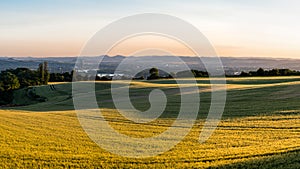 Panorama of the beautiful sunset in western Germany, a field of wheat, in the distance a flowing river, railway bridge and chimney