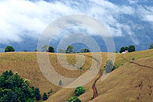 Panorama of beautiful view on hills