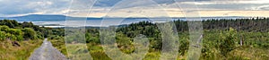 Panorama of Benbulbin forest with ocean in background photo