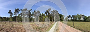 Panorama from a bicycle path through natural reserve Lankheet photo