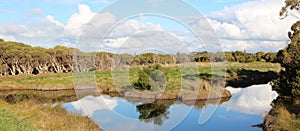 Panorama of Big Swamp Bunbury