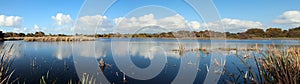 Panorama of Big Swamp Bunbury West Australia