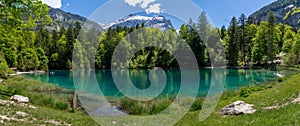 Panorama of Blausee-Blue lake in Switzerland