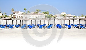 Panorama of blue sunloungers, palm trees and parasols