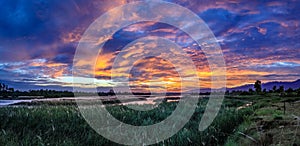 Panorama of bright orange and yellow sunset with blue clouds, thick tall grass and a flat lazy river