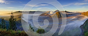 Panorama of Bromo volcano at sunrise, East Java, Indonesia