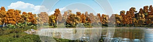 Panorama of calm forest lake shore at autumn day