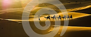 Panorama of camel Caravan crossing the dunes of Sahara desert in Morocco