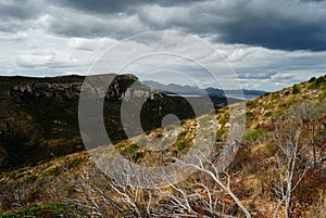 Panorama from Capo Figari