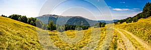 Panorama of Carpathian mountains in summer