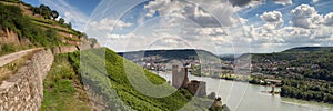 Panorama of castle Ehrenfels near Ruedesheim