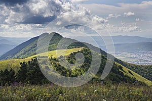 Panorama of the Caucasus mountains. The greater Caucasus mountain range, grass, blue sky, pine.