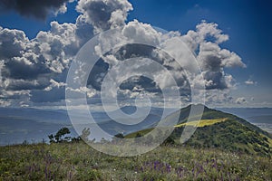 Panorama of the Caucasus mountains. The greater Caucasus mountain range, grass, blue sky, pine.