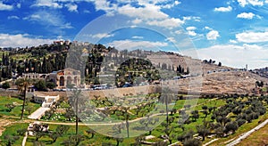 Panorama - Church of All Nations and Mount of Olives, Jerusalem photo
