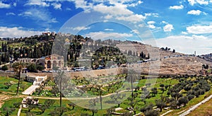 Panorama - Church of All Nations and Mount of Olives, Jerusalem