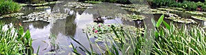 Panorama of Claude Monet's gardens, Giverny, France