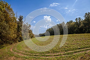 Panorama of a clearing meadow with grass and grassland in the middle of forest and trees of the Duna Drava Nemzeti Park in Mohacs photo
