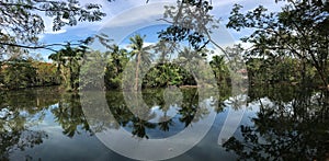 Panorama from coconut island