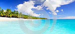 Panorama of coconut palm trees on white sandy beach in Saona island, Dominican Republic