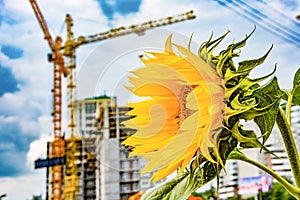 Panorama of construction at the background of blue sky