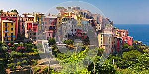 Panorama of Corniglia, Cinque Terre, Liguria, Italy photo