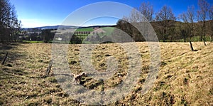 Panorama of country field with a barbed wire fence