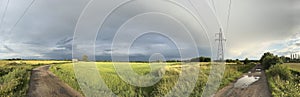 Panorama of a country rural road in green fields in Poland