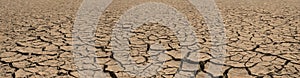 Panorama of cracked brown soil, barren wasteland surface natural background