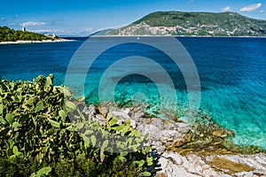 Group of cactus plants in front of crystal clear transparent blue turquoise teal Mediterranean sea. Fiskardo town