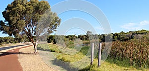 Panorama of cycleway around the Big Swamp parkland Bunbury west Australia. photo