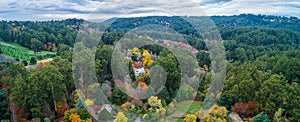 Panorama of Dandenong Ranges forest in autumn.