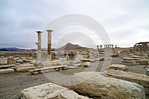 Panorama of the decumanus at Palmyra, Syria